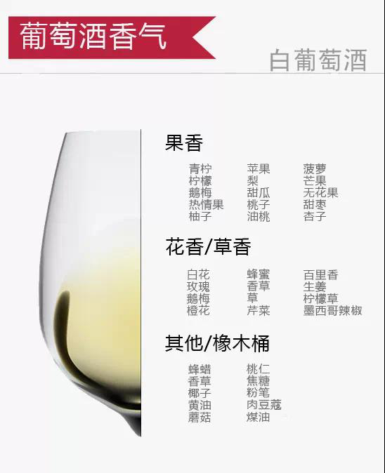 十二張圖帶你認(rèn)識葡萄酒